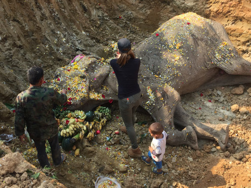 She slept next to her elephant friend "till sunset and he'd taken his final  breath."